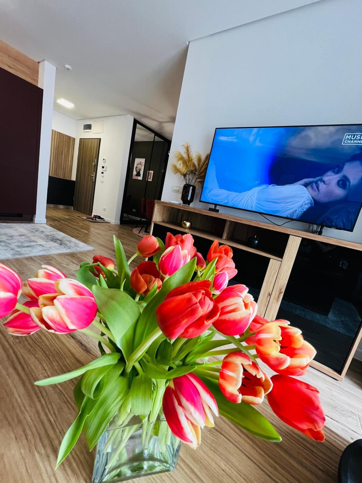 Apartament Judy 오라데아 외부 사진